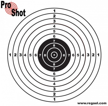 ProShot Pistol Targets (Box of 800)