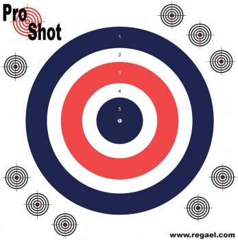 ProShot Practice Targets (Box of 800)